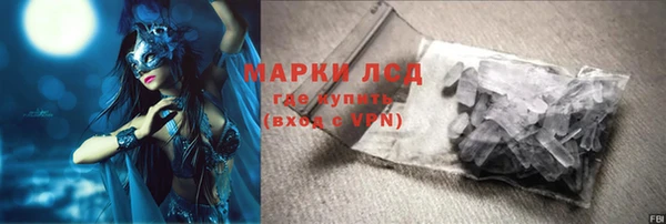 ГАЛЛЮЦИНОГЕННЫЕ ГРИБЫ Вязники