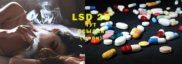 ГАЛЛЮЦИНОГЕННЫЕ ГРИБЫ Вязники