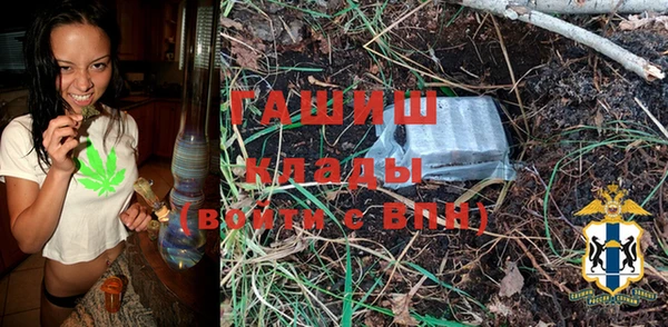 ГАЛЛЮЦИНОГЕННЫЕ ГРИБЫ Вязники