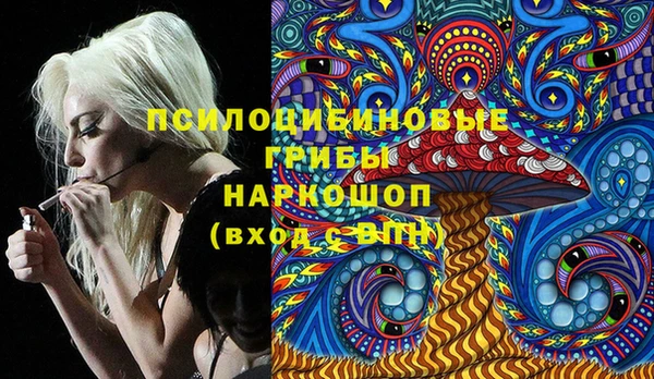 хмурый Липки