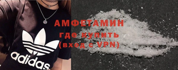 ГАЛЛЮЦИНОГЕННЫЕ ГРИБЫ Вязники