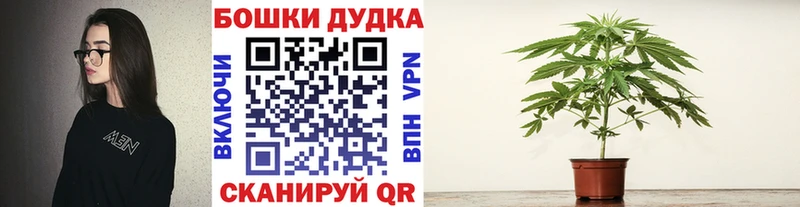 наркошоп  Демидов  Конопля план 